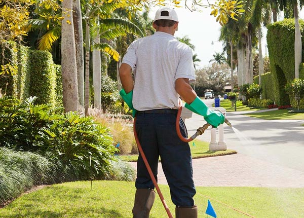 About Fort Gay WV Pest Control